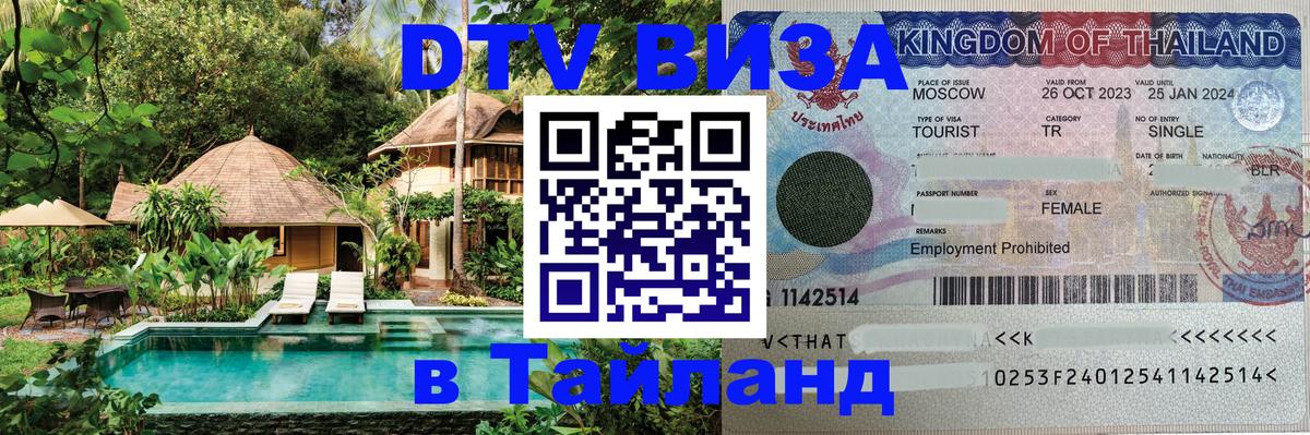 Оформление DTV визы под ключ: стоимость и тарифы, только загранпаспорт - 